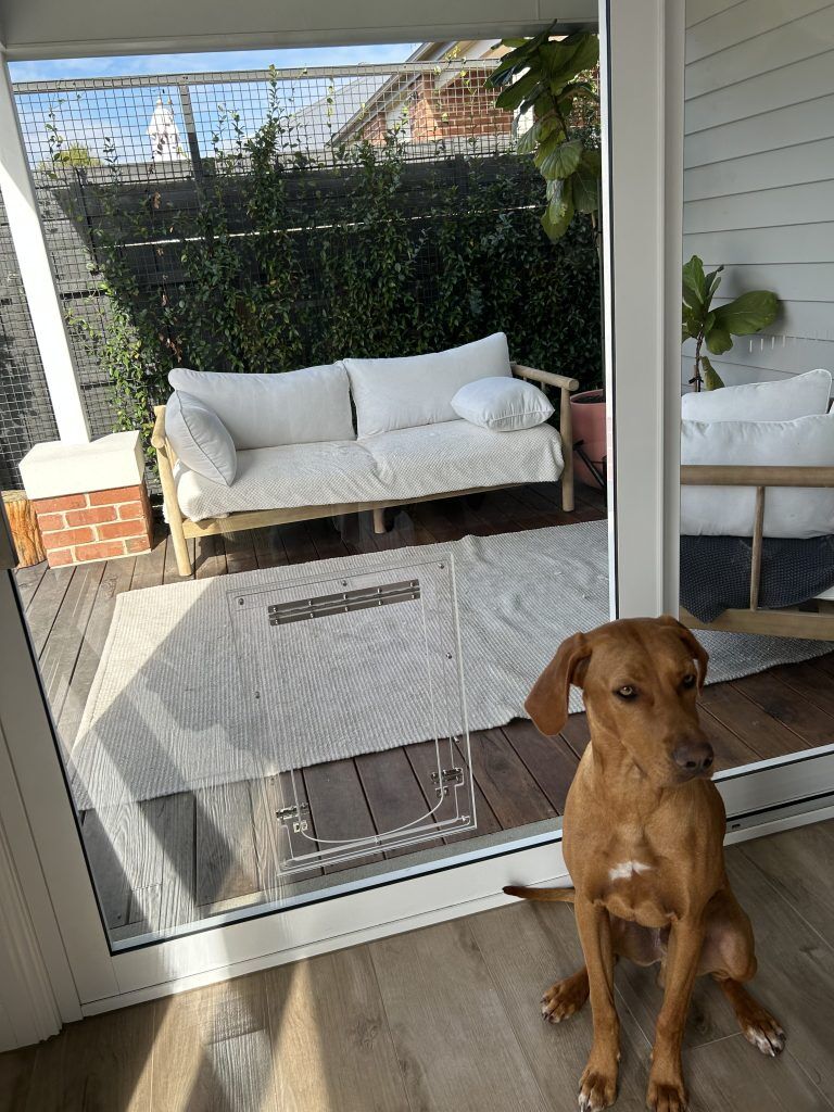 Diy dog door in screen clearance door